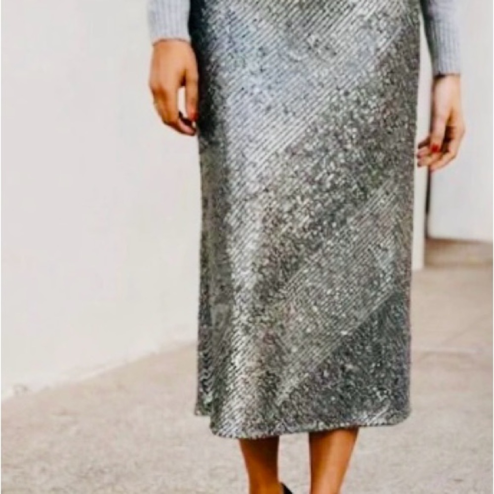 Ann Taylor PM Silver Sequined Midi Skirt